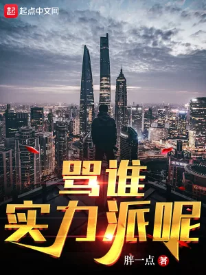 《骂谁实力派呢》小说封面