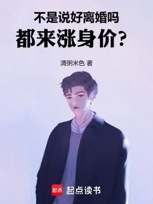 《不是说好离婚吗，都来涨身价？》小说封面