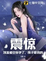 《震惊！顶流爱豆怀孕了，孩子是我的》小说封面