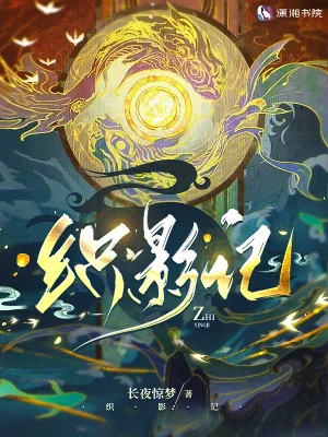 《织影记》小说封面