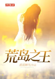 《荒岛之王》小说封面