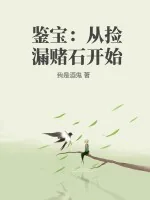 《鉴宝：从捡漏赌石开始》小说封面