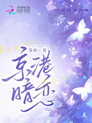 《京港暗恋》小说封面