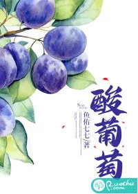 《酸葡萄》小说封面