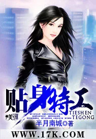 《贴身特工》小说封面