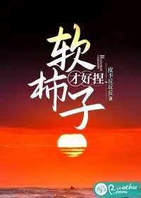 《软柿子才好捏》小说封面