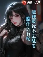 《透视眼你不去乱看，赌什么石呢！》小说封面