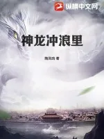 《神龙冲浪里》小说封面
