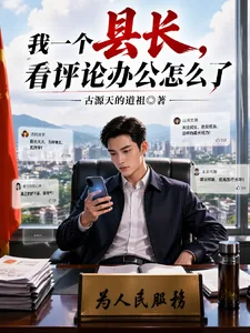 《我一个县长，看评论办公怎么了》小说封面