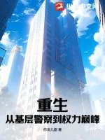 《重生：从基层警察到权力巅峰》小说封面