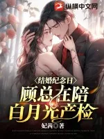 《结婚纪念日，顾总在陪白月光产检》小说封面