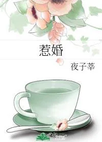 《惹婚》小说封面
