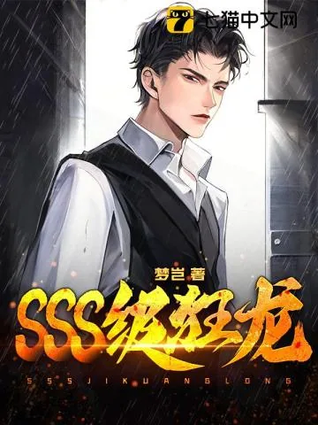 《SSS级狂龙》小说封面