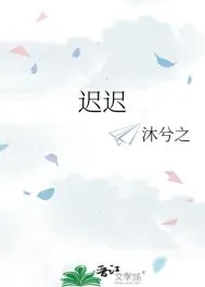 《迟迟》小说封面