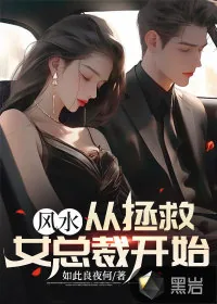 《风水：从拯救女总裁开始》小说封面