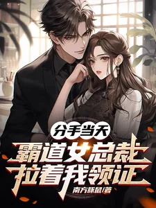 《分手当天,霸道女总裁拉着我领证》小说封面