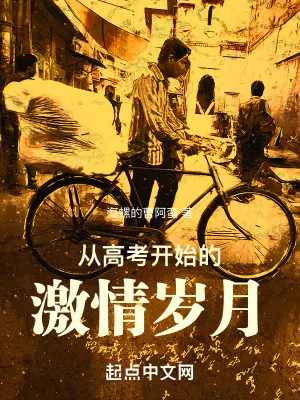 《从高考开始的激情岁月》小说封面