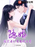 《隐婚腹黑老公竟是我上司》小说封面