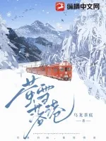 《萤雪落港》小说封面