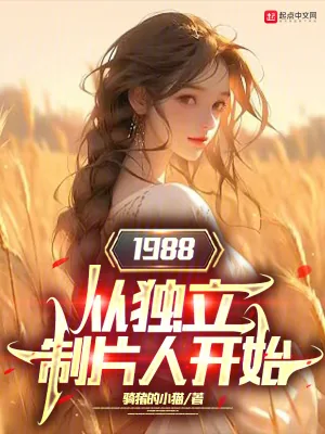 《1988从独立制片人开始》小说封面