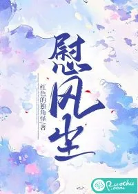 《慰风尘》小说封面