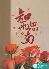 《知雨思南》小说封面