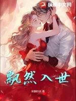 《飘然入世》小说封面