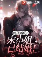 《顾总别醋了，宋小姐已结婚！》小说封面