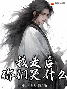《我走后，你们哭什么？》小说封面