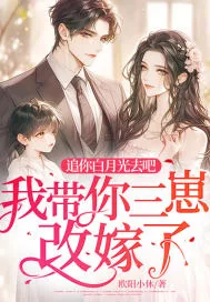 《追你白月光去吧，我带你三崽改嫁了！》小说封面