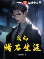 《我的赌石生涯》小说封面