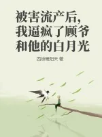《被害流产后，我逼疯了顾爷和他的白月光》小说封面