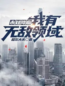 《未知降临：我有无敌领域》小说封面