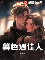 《暮色遇佳人》小说封面