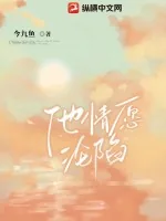 《他情愿沦陷》小说封面