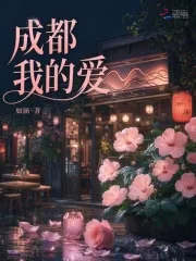 《成都，我的爱》小说封面