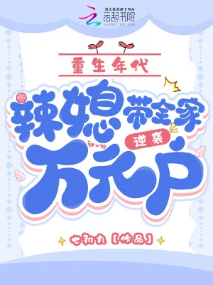 《重生年代：辣媳带全家逆袭万元户》小说封面