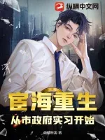 《宦海重生：从市政府实习开始》小说封面