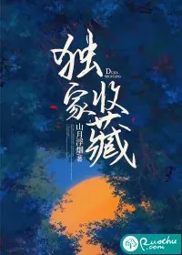 《独家收藏》小说封面
