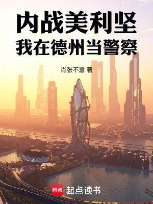 《内战美利坚：我在德州当警察》小说封面