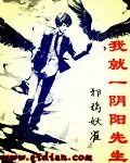 《我就一阴阳先生》小说封面