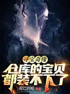 《寻宝奇缘，仓库的宝贝都装不下了》小说封面