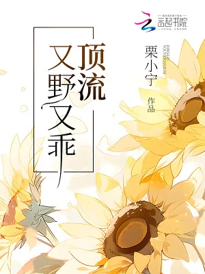 《顶流又野又乖》小说封面