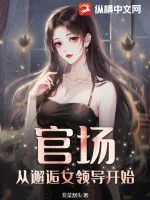 《官场：从邂逅女领导开始》小说封面