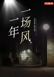 《一年一场风》小说封面