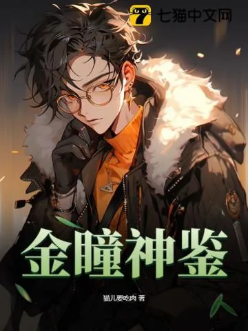 《金瞳神鉴》小说封面