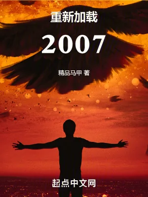 《重新加载2007》小说封面