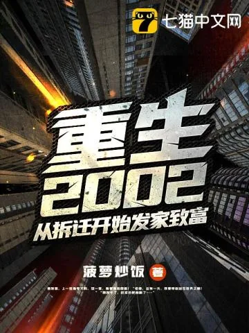 《重生2002：从拆迁开始发家致富》小说封面