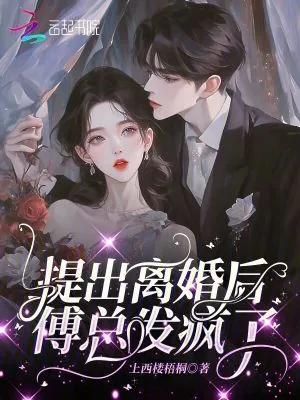 《提出离婚后,傅总发疯了》小说封面