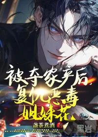 《被夺家产后，复仇恶毒姐妹花》小说封面